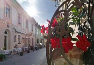 Afrodité Apartmanok