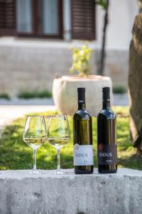 Apartment Vidus Wine Estate