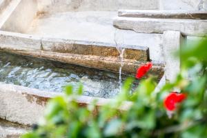 Apartment Vidus Wine Estate