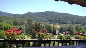 Can MiA - Serra de Pruit