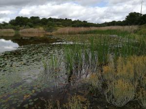 Quinta da Fornalha - Santuario Agroecologico