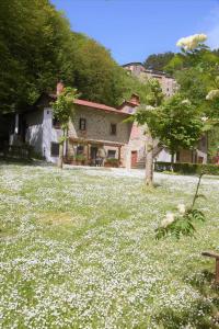 Il Molino Di Serravalle