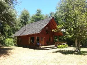 Cabañas Metreñehue - Parque Metreñehue - Pucón