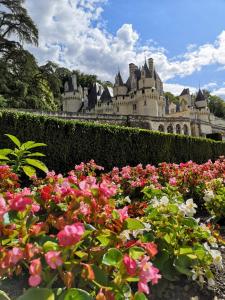 Maisons de vacances Gite de La Cale de la Clauderie : photos des chambres