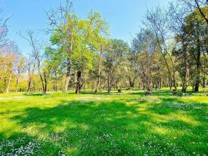 Campings Camping en Ardeche Le Lion : photos des chambres