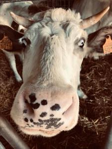 Sejours a la ferme ferme pedagogique des pennetieres : photos des chambres