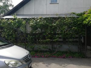 Apartman Sunce