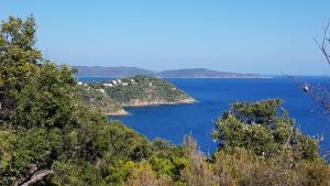 Maisons de vacances Villa Les Albizias : photos des chambres