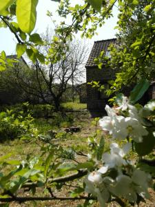 La Maison dAldegonde