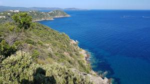 Maisons de vacances Villa Les Albizias : photos des chambres