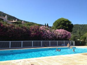 Maisons de vacances Villa Les Albizias : photos des chambres