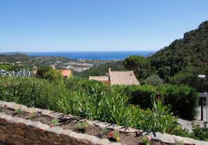 Maisons de vacances Villa Les Albizias : photos des chambres