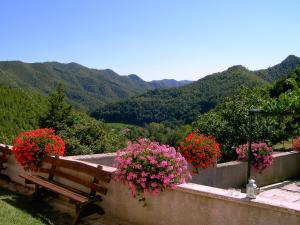 Agriturismo Sacchiafarm