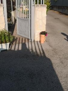 Guest House Milva