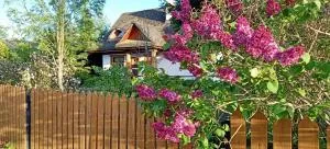 Białowieski Dworek do 10 Gości - 比亚沃维耶扎