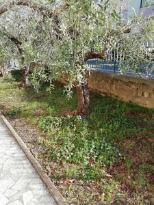 La Lenzerina Casa indipendente con giardino