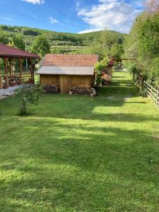 Căsuța de sub pădure