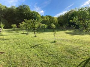 Căsuța de sub pădure