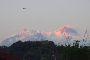 Lalupate Marg, Central Lakeside, Pokhara, Kaski, Nepal.