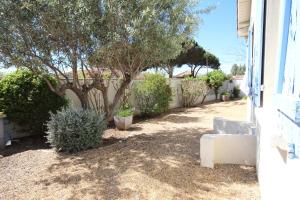 Adorable maison de vacances plain pied au coeur de la station et proche des plages 4 chambres, jardin, WIFI, LXDUNE1