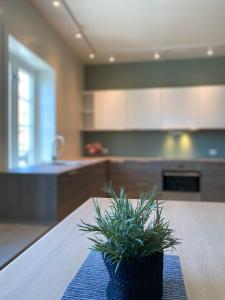 Kragerø Sportell & Apartments