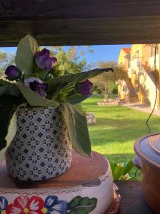 Sandy Beach Villas and Apartments