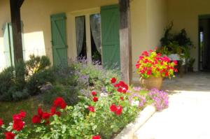 Appartement d une chambre avec piscine privee jardin clos et wifi a Montpezat de Quercy