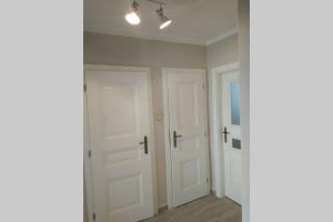 Apartmán se zahradou v Protivíně č.2