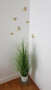 Wonderful 2-Bedroom Belvedere Apartment