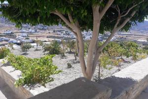 GRAPE YARD APARTMENT