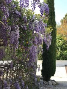 B&B / Chambres d'hotes Bastide Nomade - Charming B&B : photos des chambres