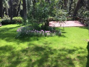 Beautiful summerhouse in Sani's pine forest Halkidiki Greece