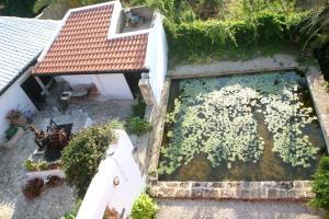 Oasis Guesthouse Chania Greece
