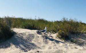 Haus am Park - Wohnung 24