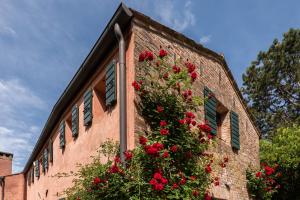 Country house pisani 120SQM