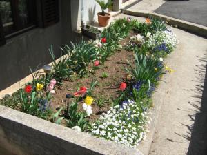 Apartments Zlatiborski Gajevi