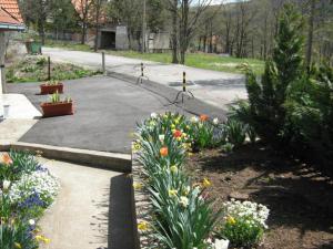 Apartments Zlatiborski Gajevi