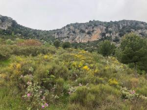 Maisons d'hotes 