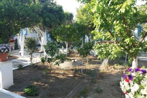 PERIVOLI 1-CHORA(5min away from the center by car) Naxos Greece