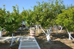 PERIVOLI 1-CHORA(5min away from the center by car) Naxos Greece