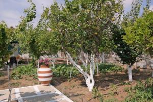 PERIVOLI 1-CHORA(5min away from the center by car) Naxos Greece