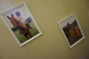 OSADA CZTERY PORY ROKU -DOM LATO