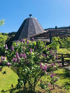 Theasis-Igloo Tzoumerka Greece