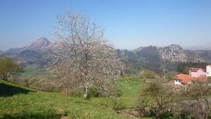 Apartamentos Rurales Andrea