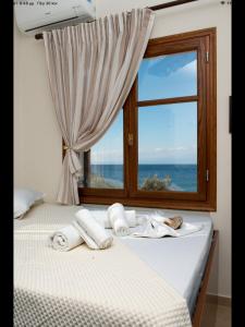 Stelios Apartments Thassos Greece