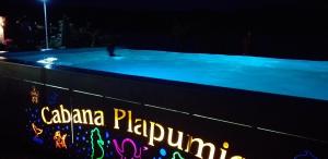 Cabana Plapumioara