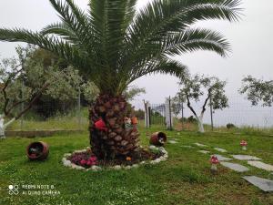 Dream Apartment Nea Iraklitsa Kavala Greece