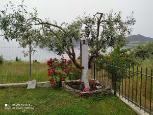 Dream Apartment Nea Iraklitsa Kavala Greece