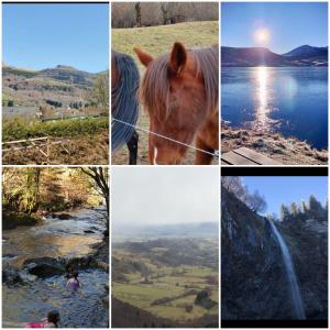 Appartements La Villa des Thermes : photos des chambres