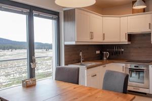 Apartman 275 - Boží Dar